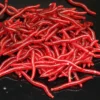 9842a11e77003bce10a7ce5bb2095187.webp 50 or 100pcs Lifelike Fishy Smell Red Worms Soft Bait Simulation Earthworm Carp Bass Fishing Lures Artificial Silicone