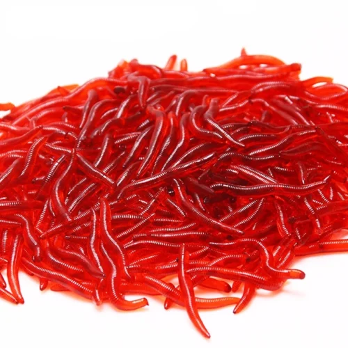 50 or 100pcs Lifelike Fishy Smell Red Worms Soft Bait Simulation Earthworm Carp Bass Fishing Lures Artificial Silicone