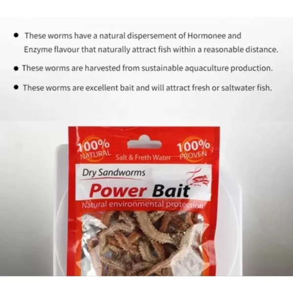 my-11134207-7r98u-lr8fd3cxjunr5d.webp POWER BAIT DRY SANDWORMS Cacing Pasir